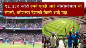 bcci total earn revenue year